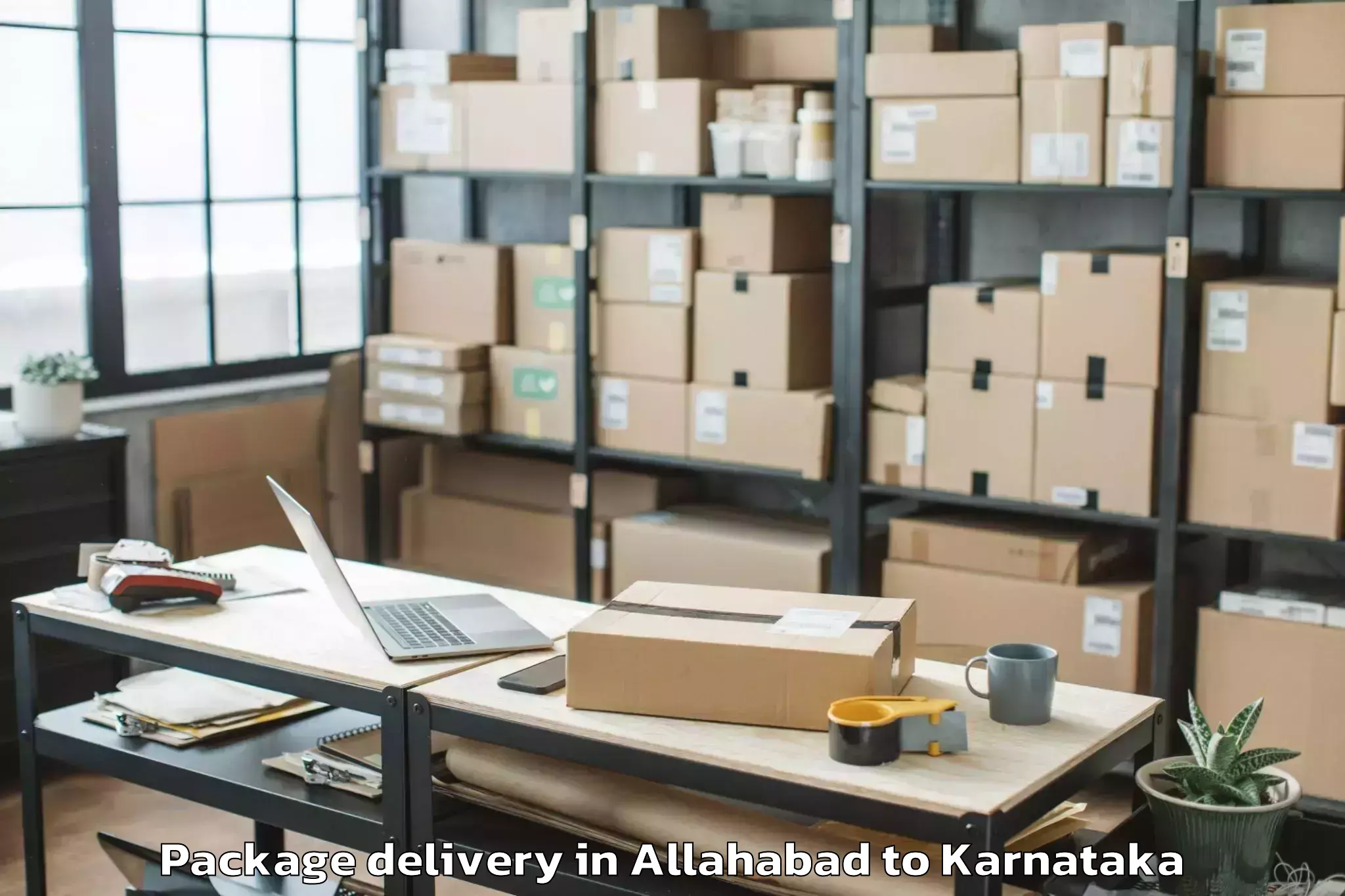 Expert Allahabad to Holalkere Rural Package Delivery